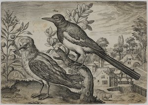 Gravure de maître ancien - Adriaen Collaert